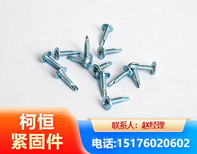 大理华司钻尾丝
