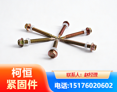 大理六角钻尾丝