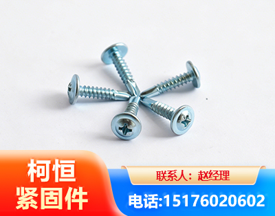 大理华司钻尾丝