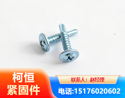 大理华司钻尾丝