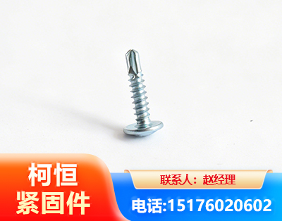 大理华司钻尾丝